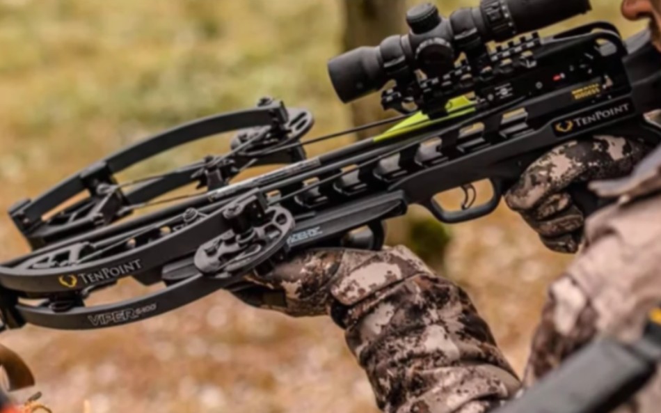 2023年国外十款不错的十字弓