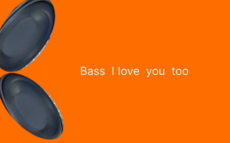 [图]Bass  l love  you too   低音测试