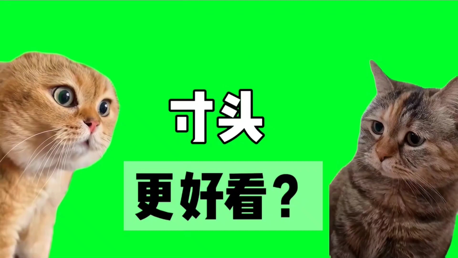 大家说短发更精神,我剪寸头试试看