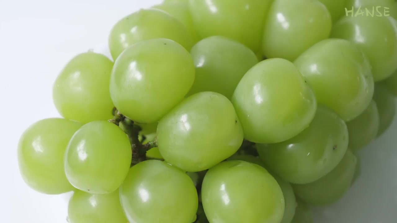 [纸杯计量]制作夏仁麝香葡萄汤 shine muscat candy (tanghulu)