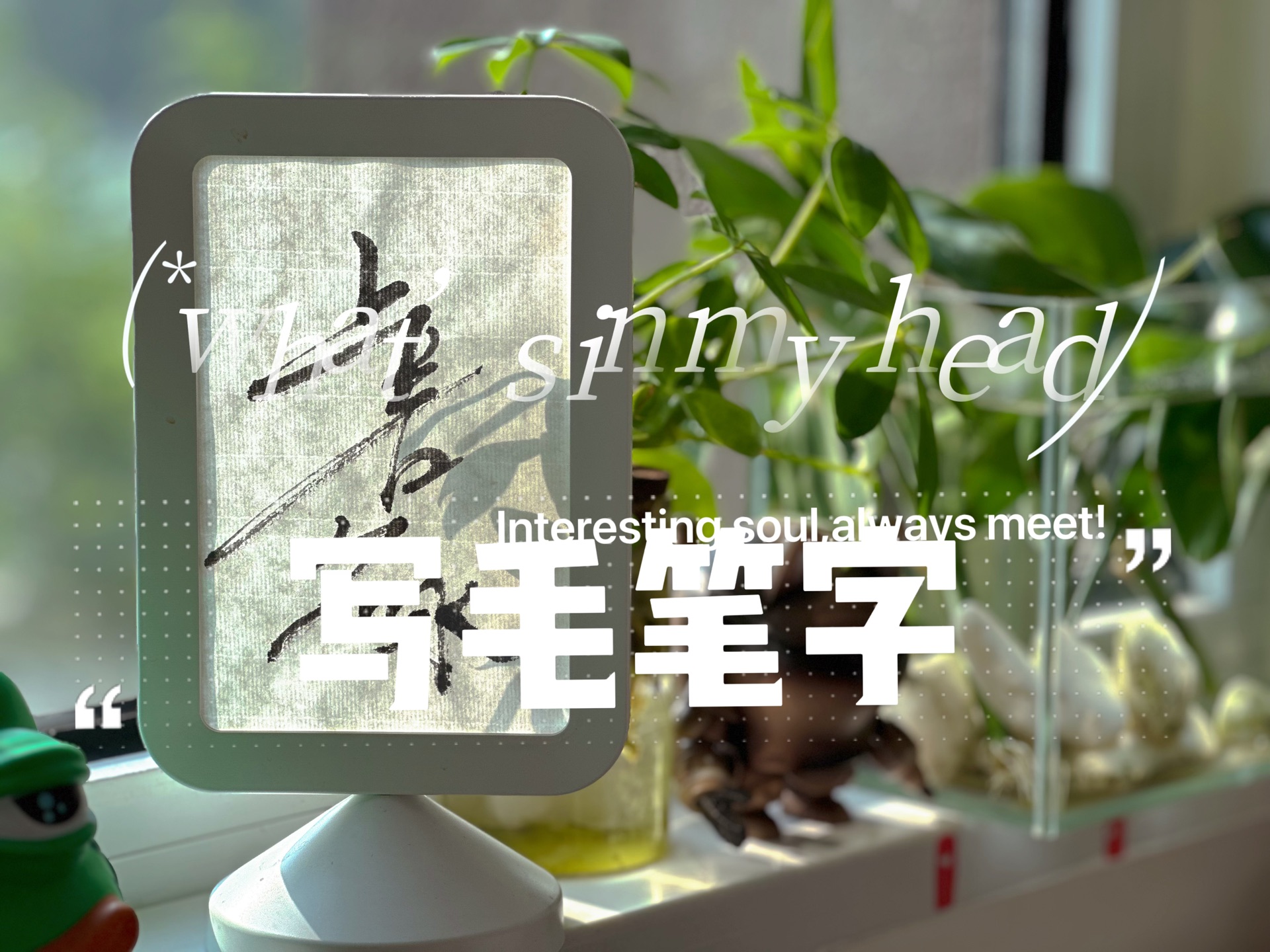 生活日志|36岁北京待业妈妈在家的半退休日志