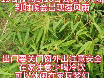 中秋假期台“贝碧嘉”将给江西带来强风雨,需注意防范哔哩哔哩bilibili