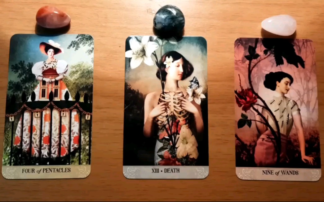 【Venus Return】这个秘密向你揭示的时刻终于到了！ 哔哩哔哩