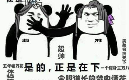 【剑网三】20170716 奶花散排33