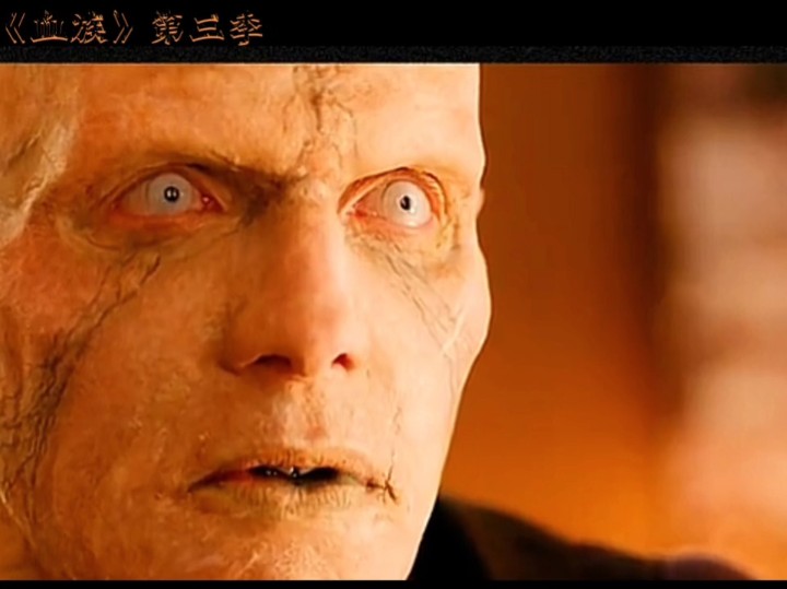 《血族》精彩美剧!