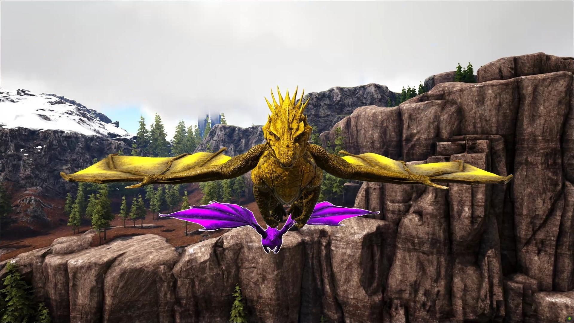 泽白:史诗喷火龙我都下来了!你等谁呢?