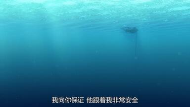 <em class="keyword">海底总动员</em>