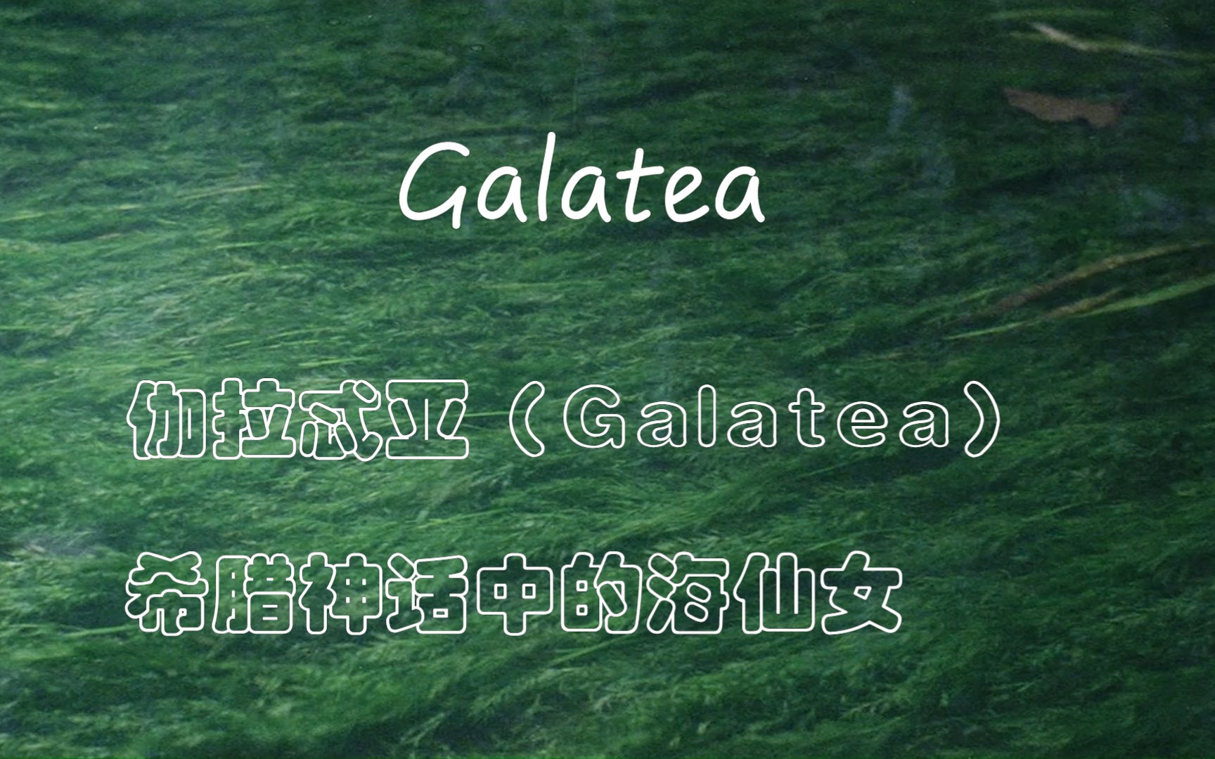 【纯音乐推荐】 | Galatea X 塔可夫斯基 | 温柔平静的回忆 | 德国作曲家Oskar Schuster哔哩哔哩bilibili