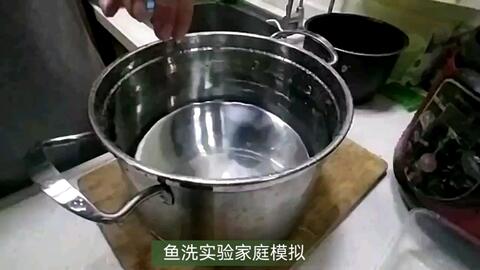 鱼洗盆水波共振现象-哔哩哔哩 買い公式店 共振鍋 魚洗鍋 工芸品