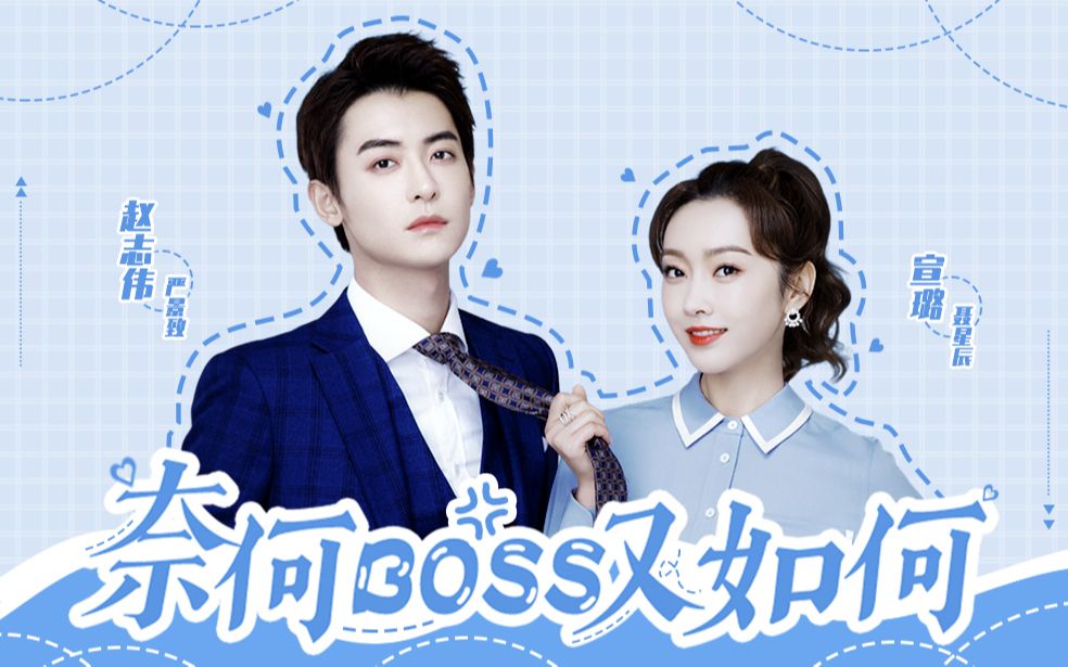 【宣璐×赵志伟‖良辰美景夫妇】奈何boss又如何(霸道总裁和金牌秘书)