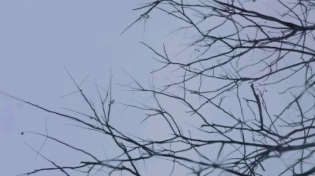 [图]雨天，爱上一个陌生人