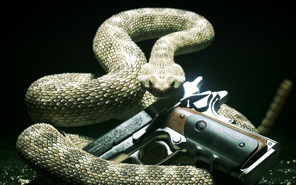 杀手5赦免 通关攻略p1