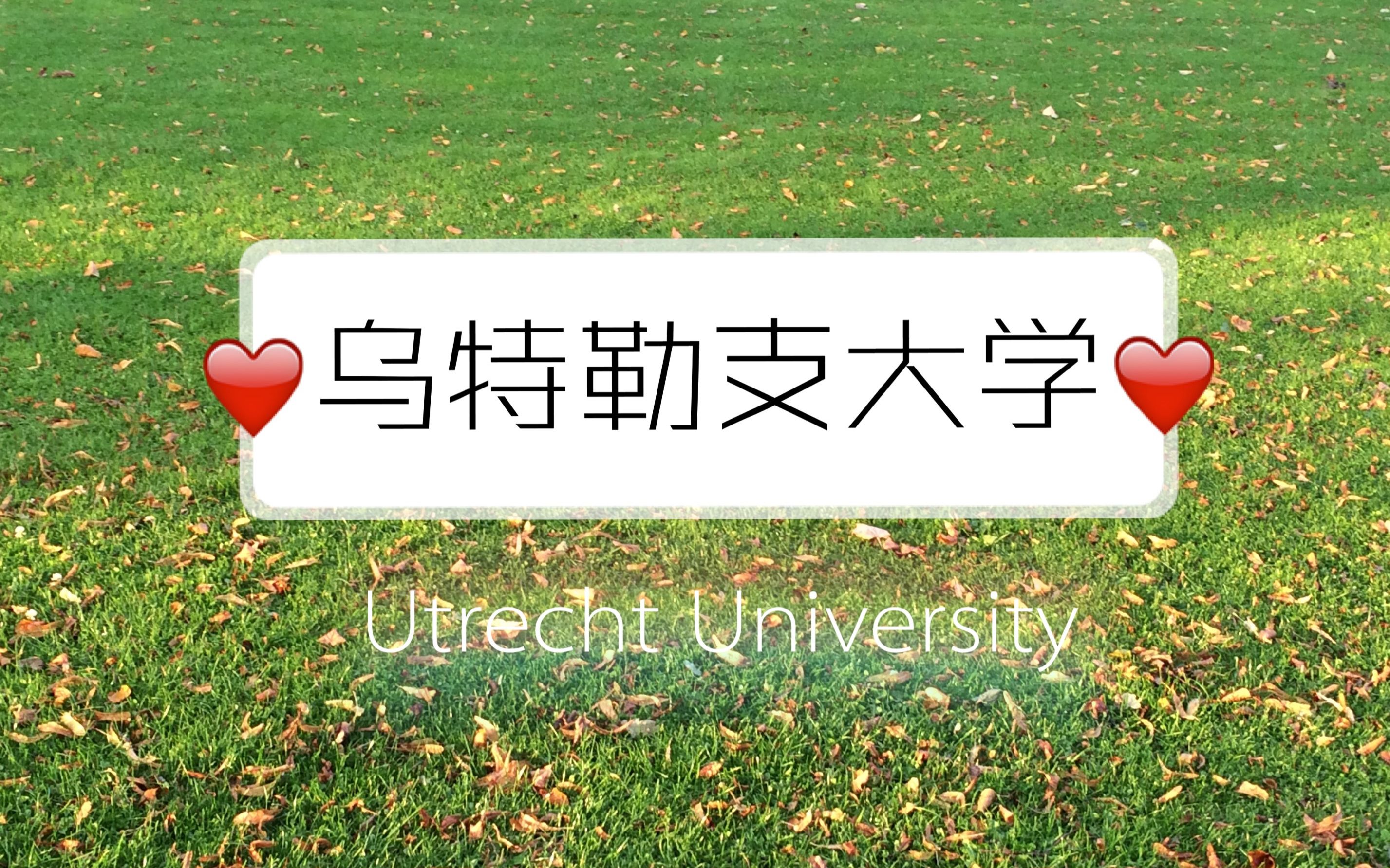 【荷兰留学】在最受荷兰人欢迎的城市读个书——乌特勒支大学硕士申请哔哩哔哩bilibili