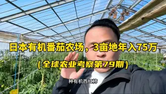 日本有机番茄农场，3亩地年收入75万！他们是如何种植的？