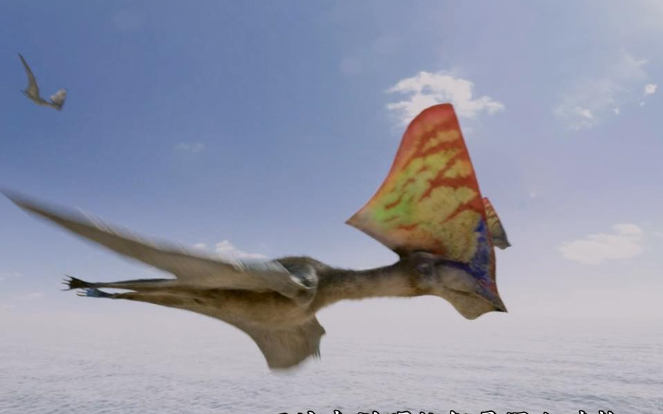 【纪录片】飞行怪兽【英语中字】