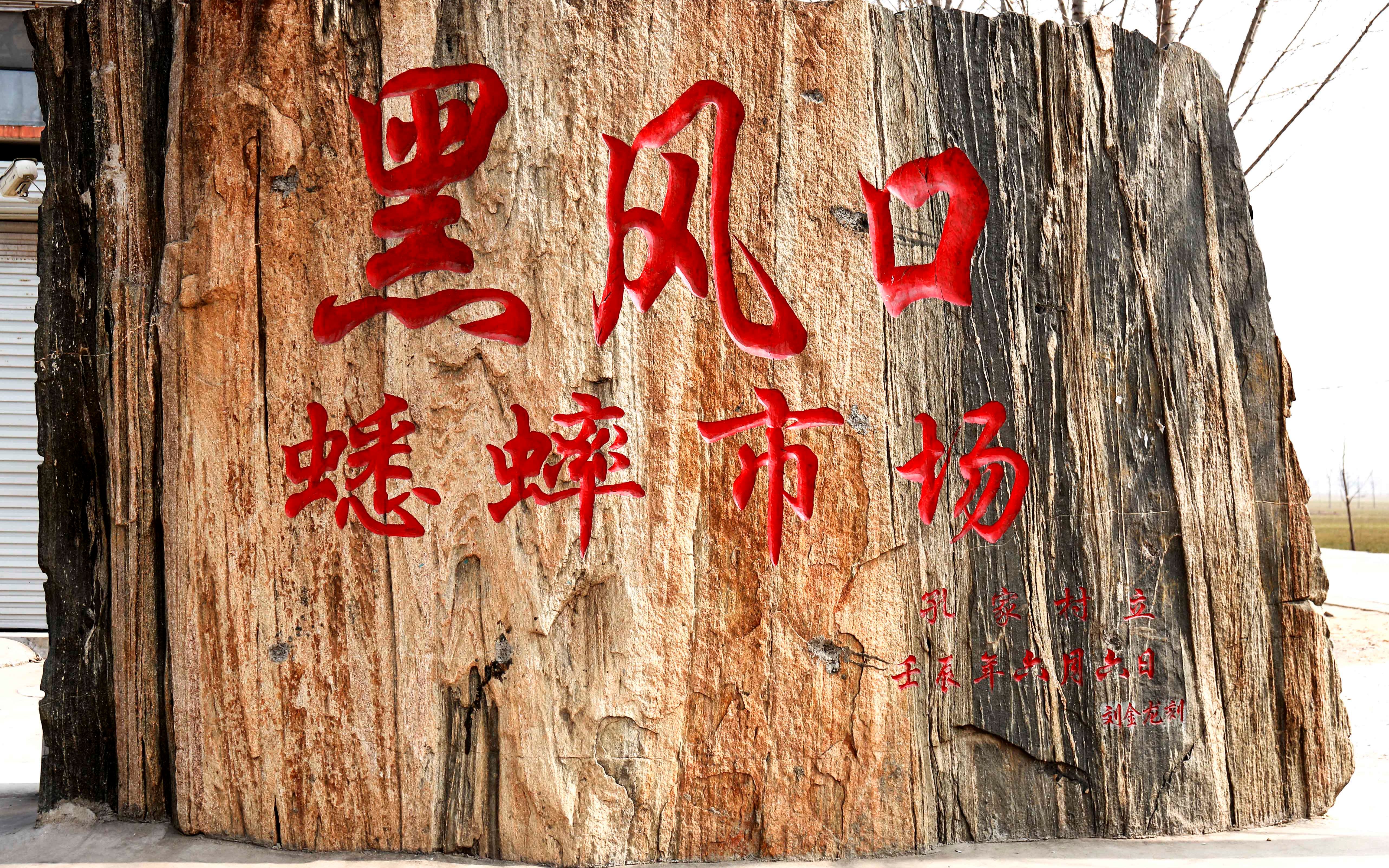 大军说蛐蛐之黑风口