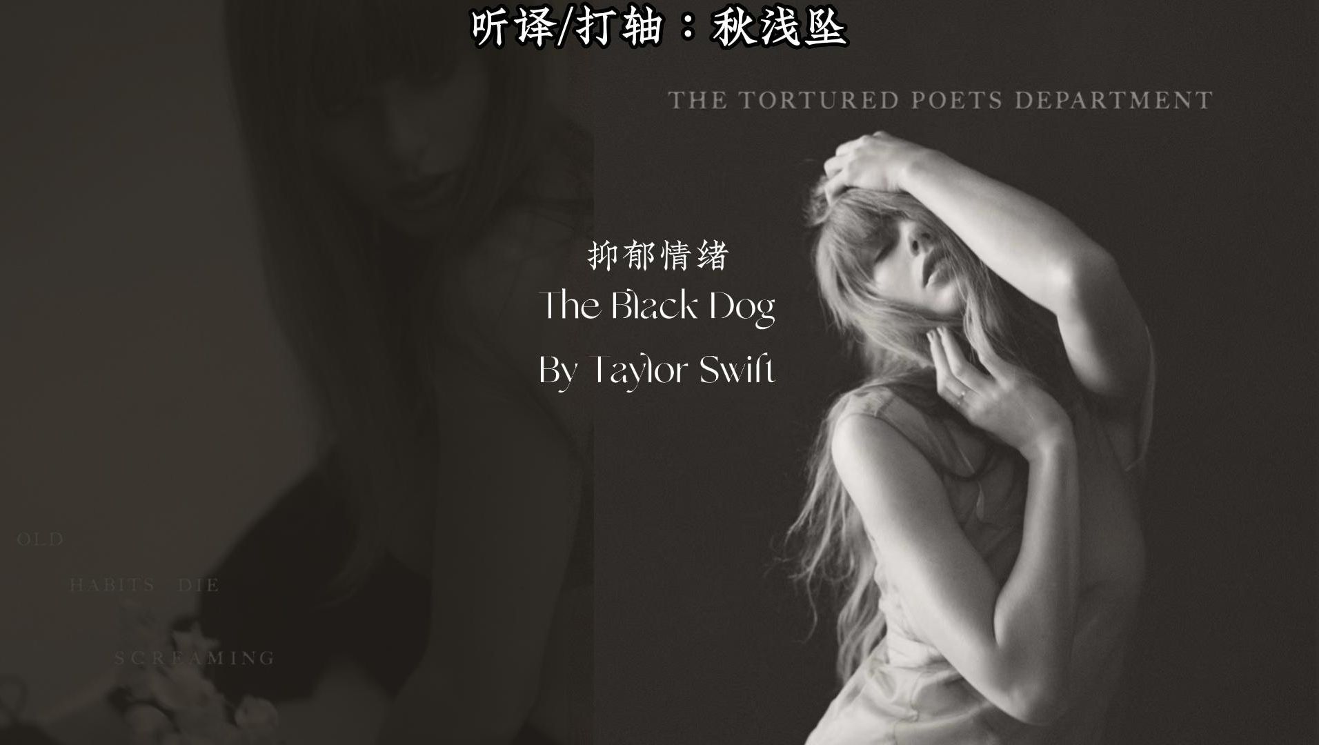 [图]【Taylor Swift/特效双语字幕】TTPD新专加曲The Black Dog [歌词MV](仅供试听交流）