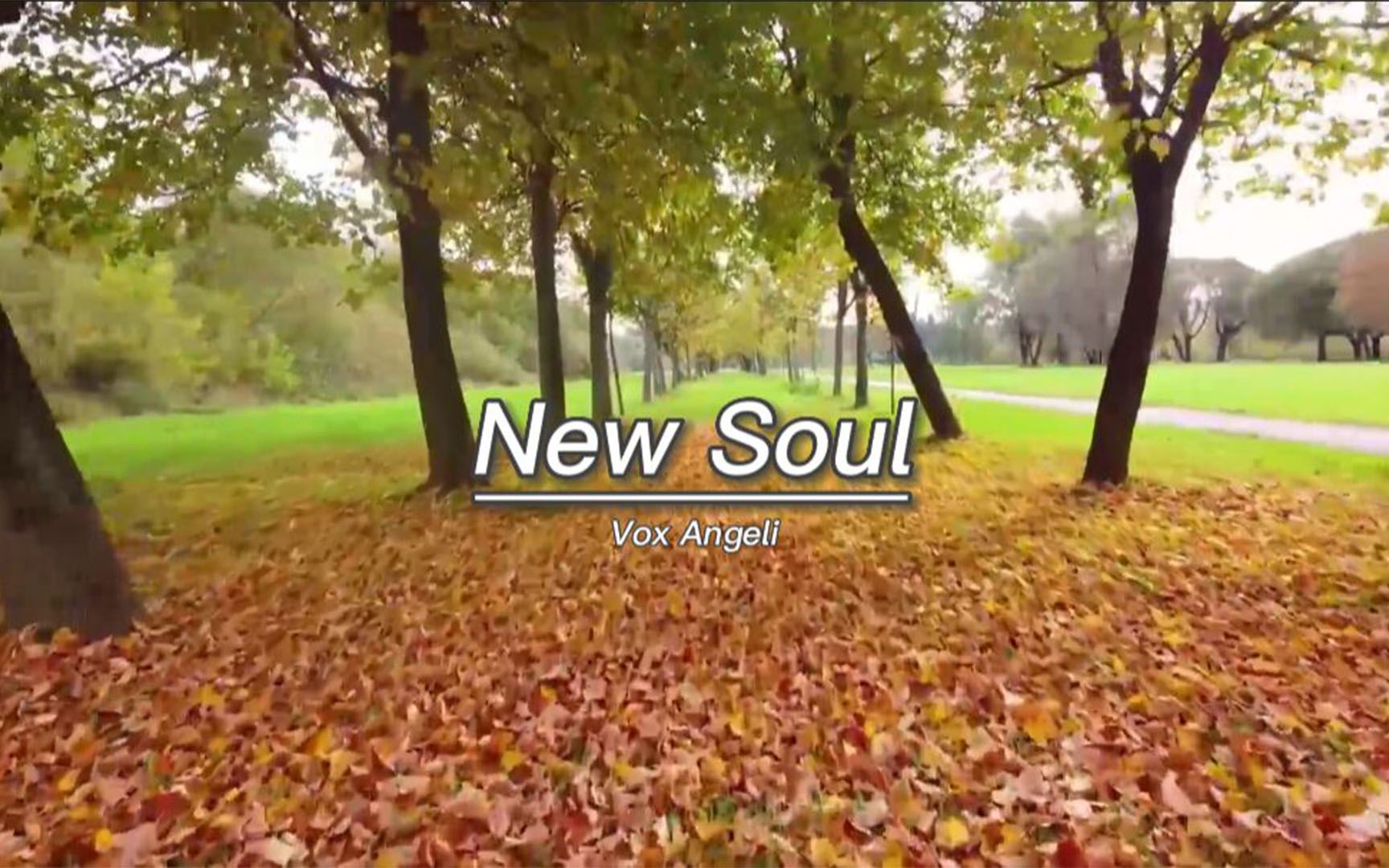 [图]听三秒就爱上的旋律《New Soul》