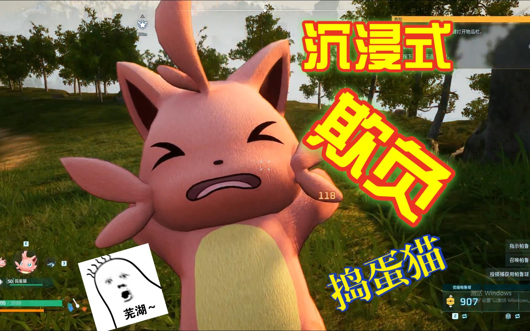 沉浸式欺负捣蛋猫