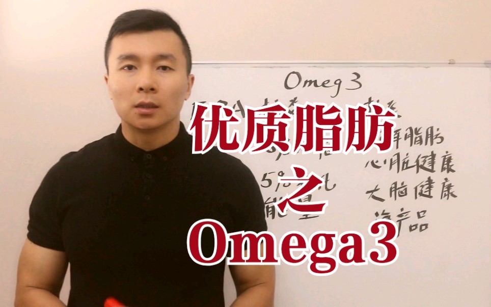 优质脂肪Omega3哔哩哔哩bilibili