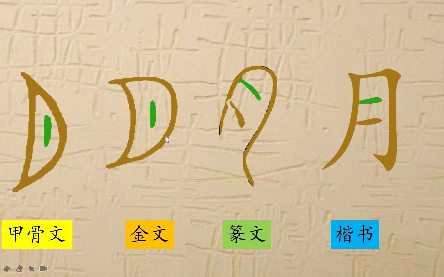10,月字旁肉字旁肉月旁(一),趣味识字,汉字演变,笔画描色,字理识字