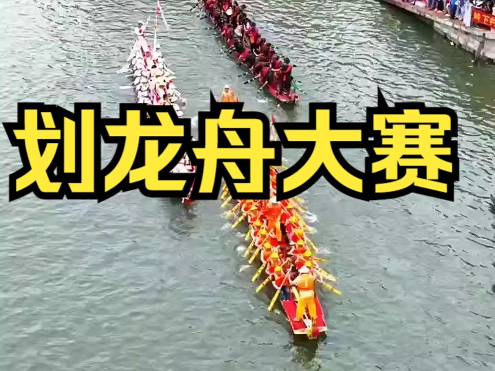 瑞安禁龙16年,今天端午节正式开始划龙舟比赛.