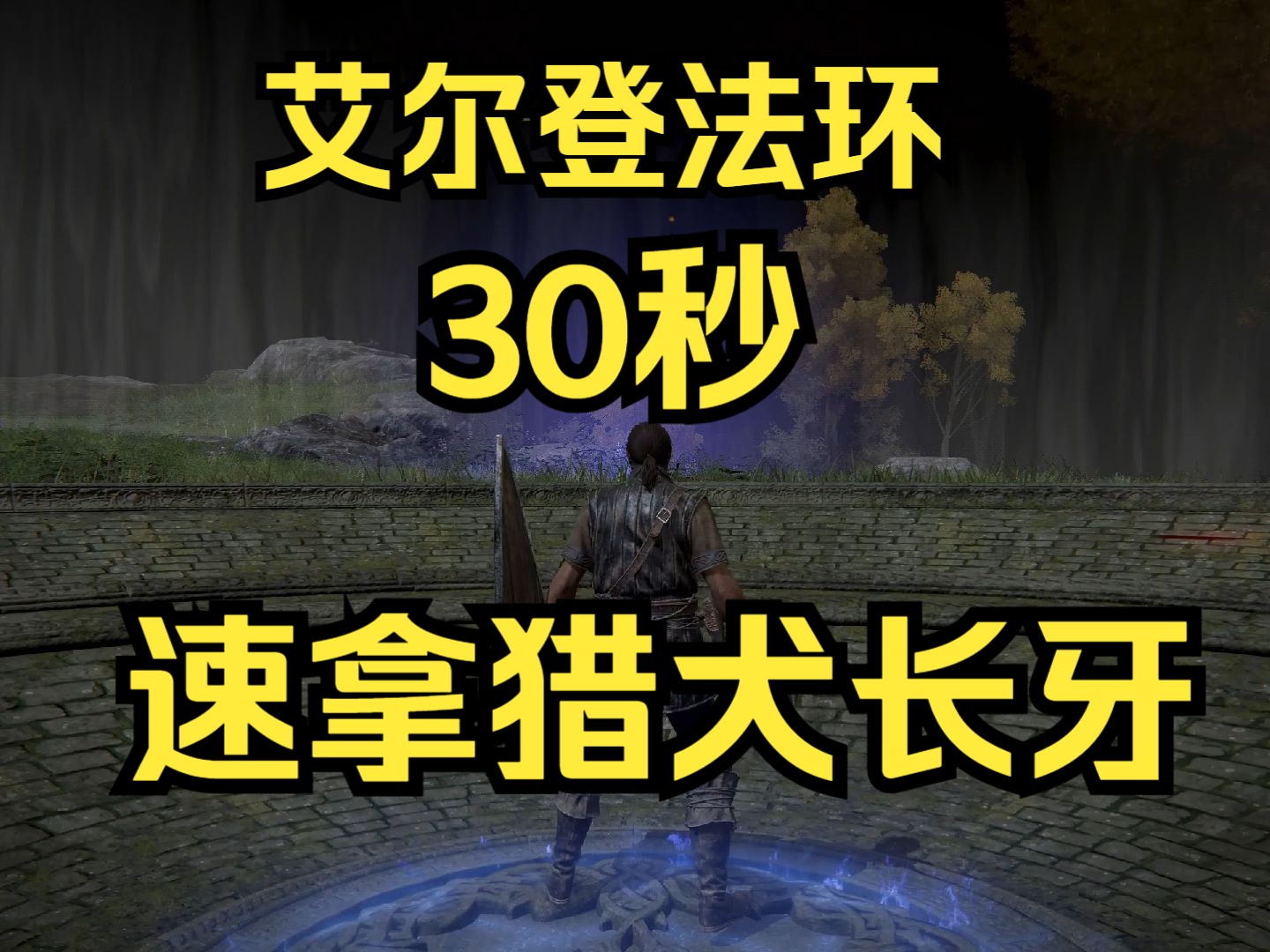 艾爾登法環】獵犬長牙最簡單的入手方式 前期30秒擊敗獵犬騎士達瑞