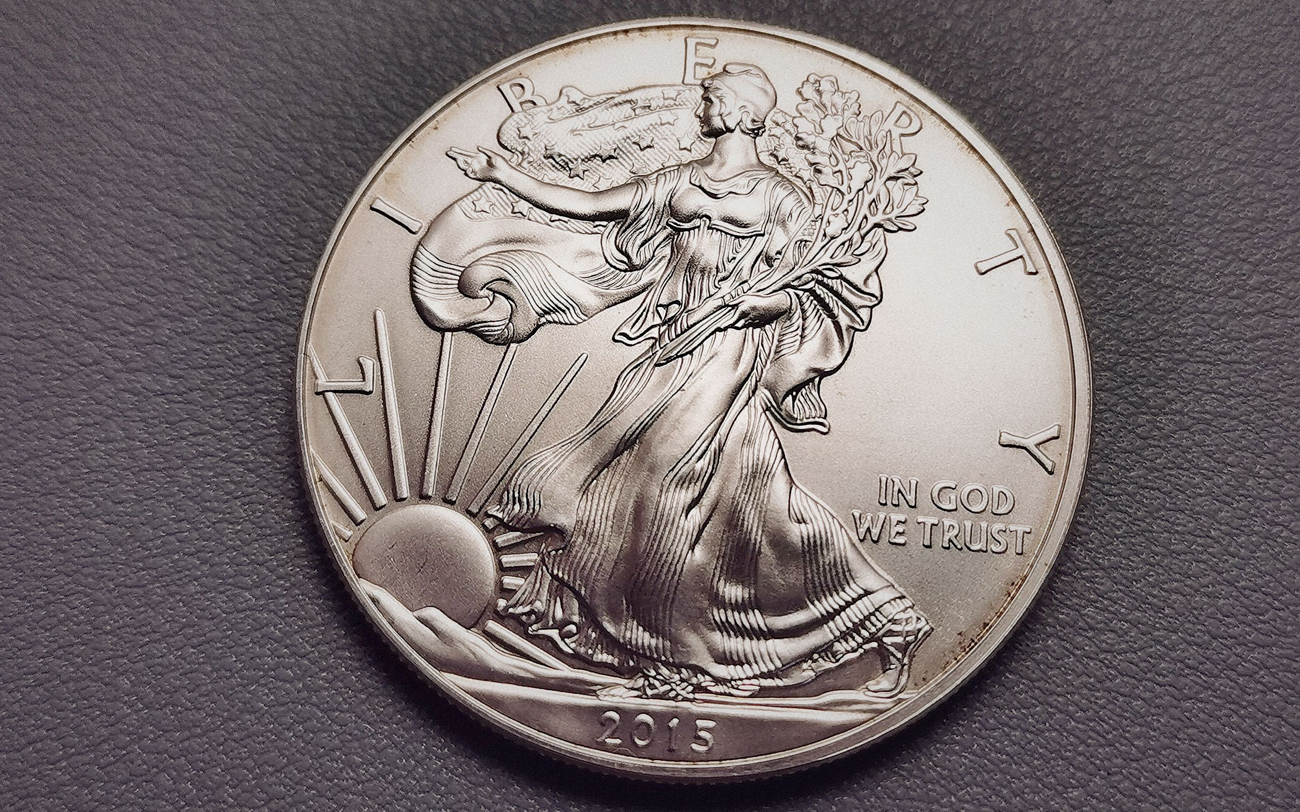 美国2015年1美元银币(行走的自由女神1盎司投资银币)_哔哩哔哩_bili
