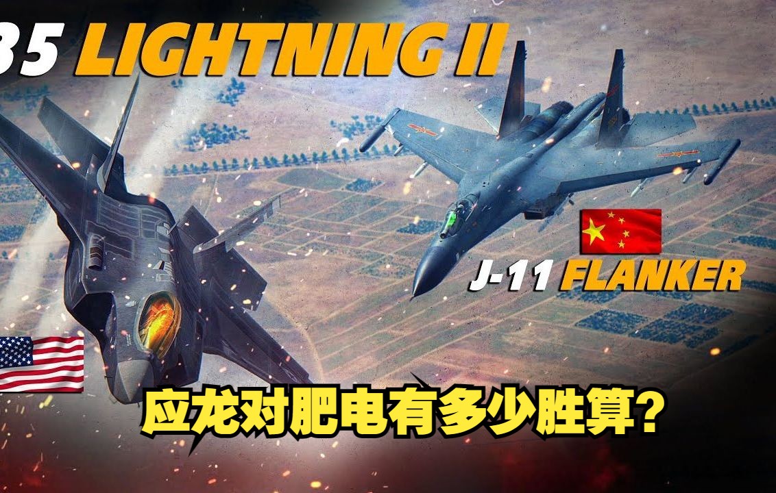 [图]【DCS 熟肉】油管大神开歼11大战F-35 隐身肥电怎么打？