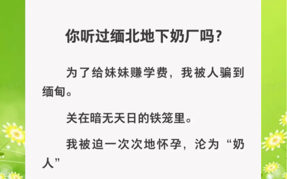 你听过缅北地下奶厂吗?我被迫一次次怀孕,沦为“奶人”……zhihu小说《缅北遭遇记》哔哩哔哩bilibili