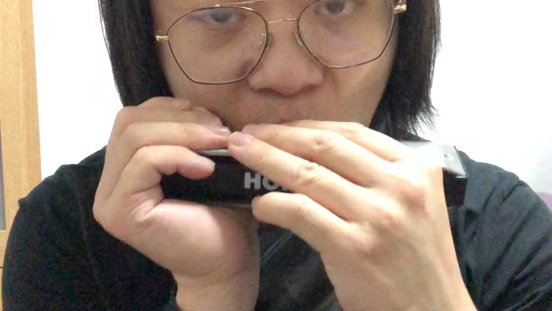 【半音阶口琴】左右开弓舌堵练习:全音阶模进