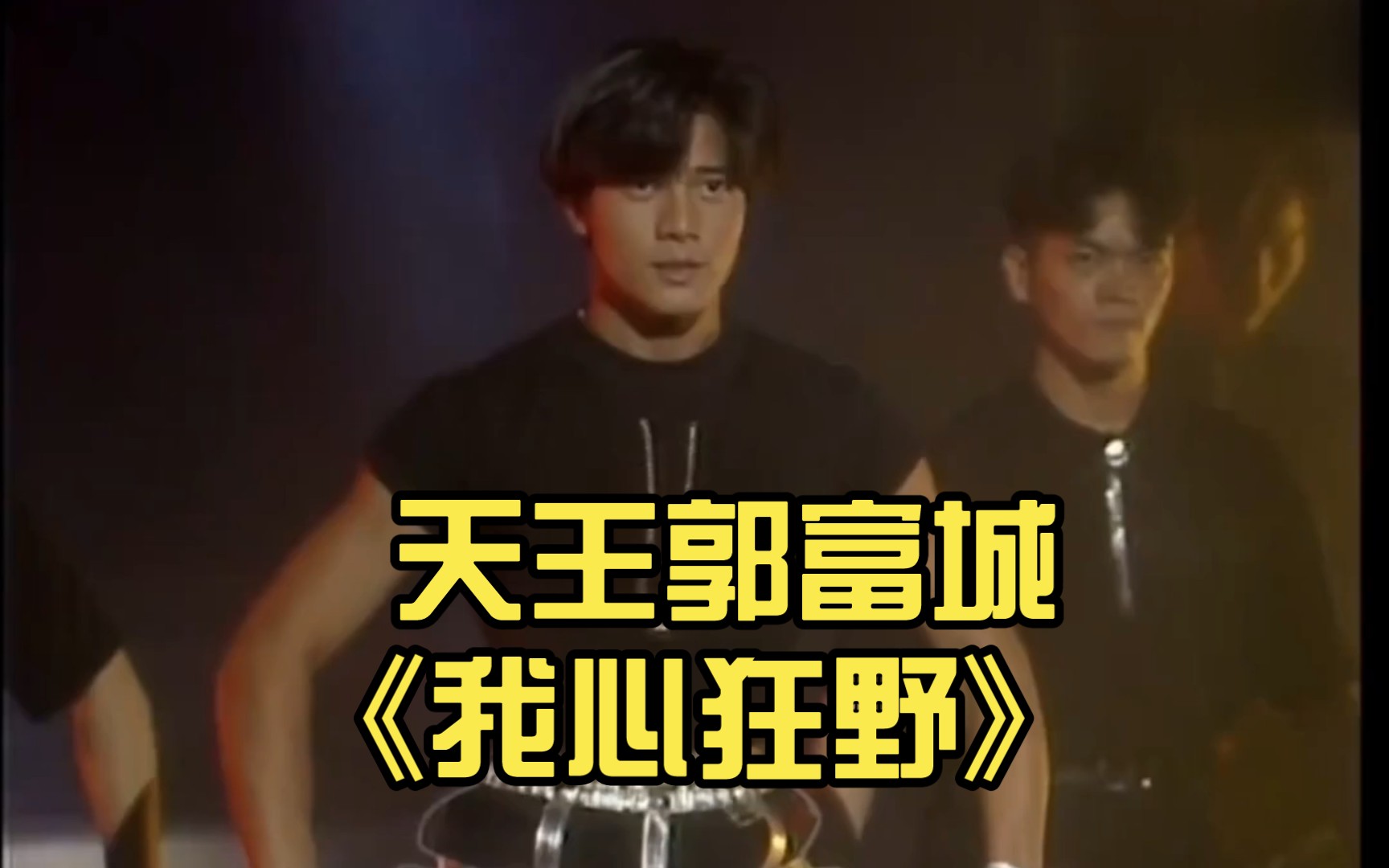 我心狂野插曲(电影我心狂野插曲)