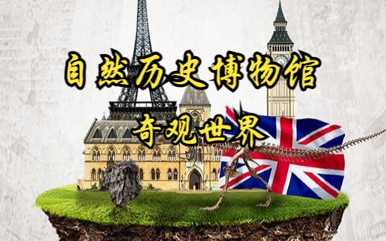 【英国】【纪录片】自然历史博物馆:奇观世界 Natural History Museum: Wonderful World哔哩哔哩bilibili