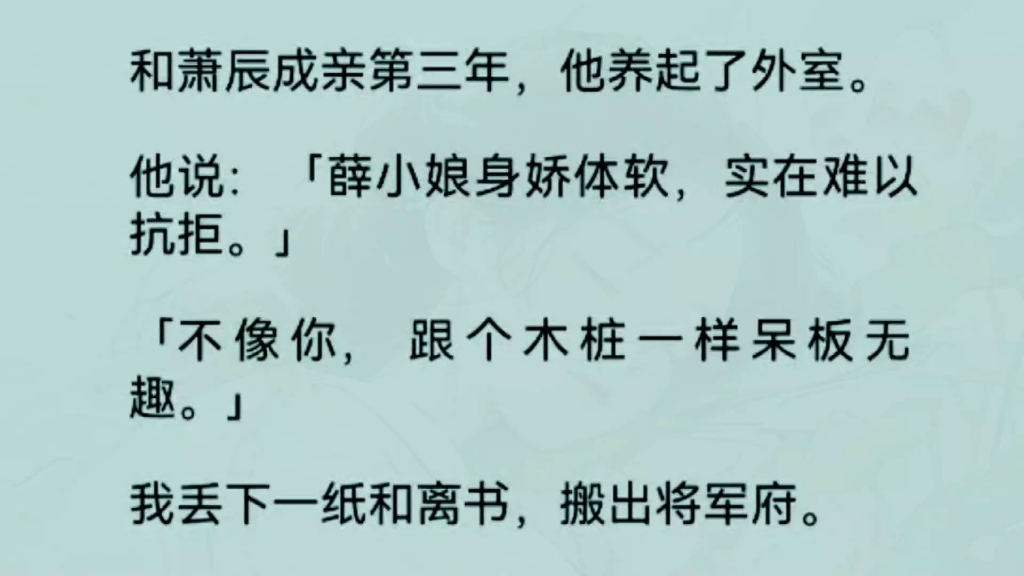 [图]《全文完整版》和萧辰成亲第三年，他养起了外室。他说：「薛小娘身娇体软，实在难以抗拒。」「不像你，跟个木桩一样呆板无趣。……