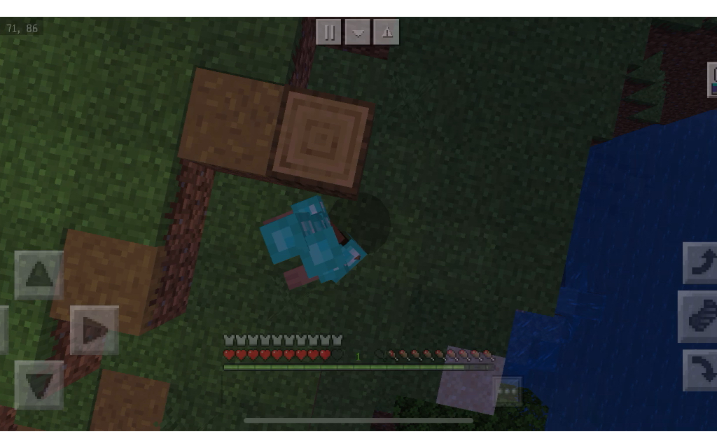 网易土豆服务器