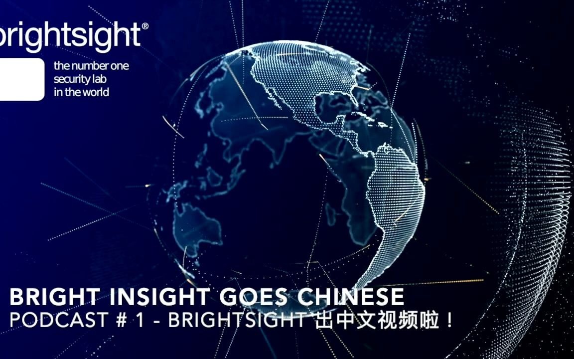 [图]Bright Insight出中文版啦！