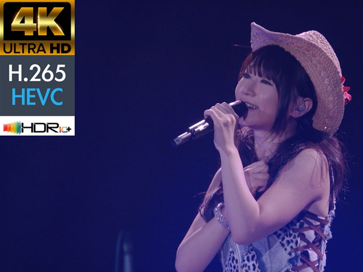 [图]【蓝光原盘4K演唱会】水树奈奈 2015演唱会（一）Nana Mizuki - LIVE ADVENTURE D1