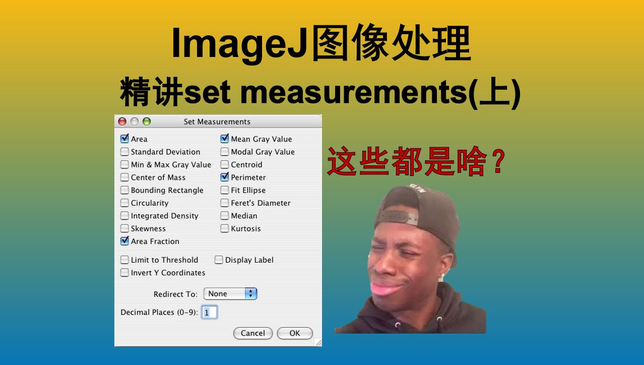 『零基础』ImageJ图像处理  精讲测量分析结果 (set measurements) (上)哔哩哔哩bilibili