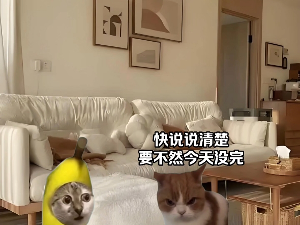 当你和对象吵完架不哄她时#猫meme剧场#猫咪#故事来源于网络#猫meme小剧场哔哩哔哩bilibili