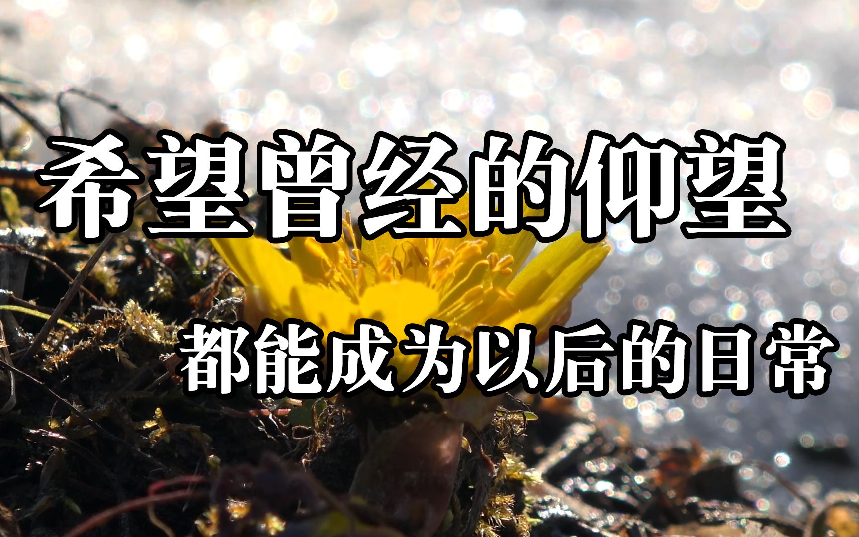 正能量语录!希望曾经的仰望,都能成为以后的日常!哔哩哔哩bilibili