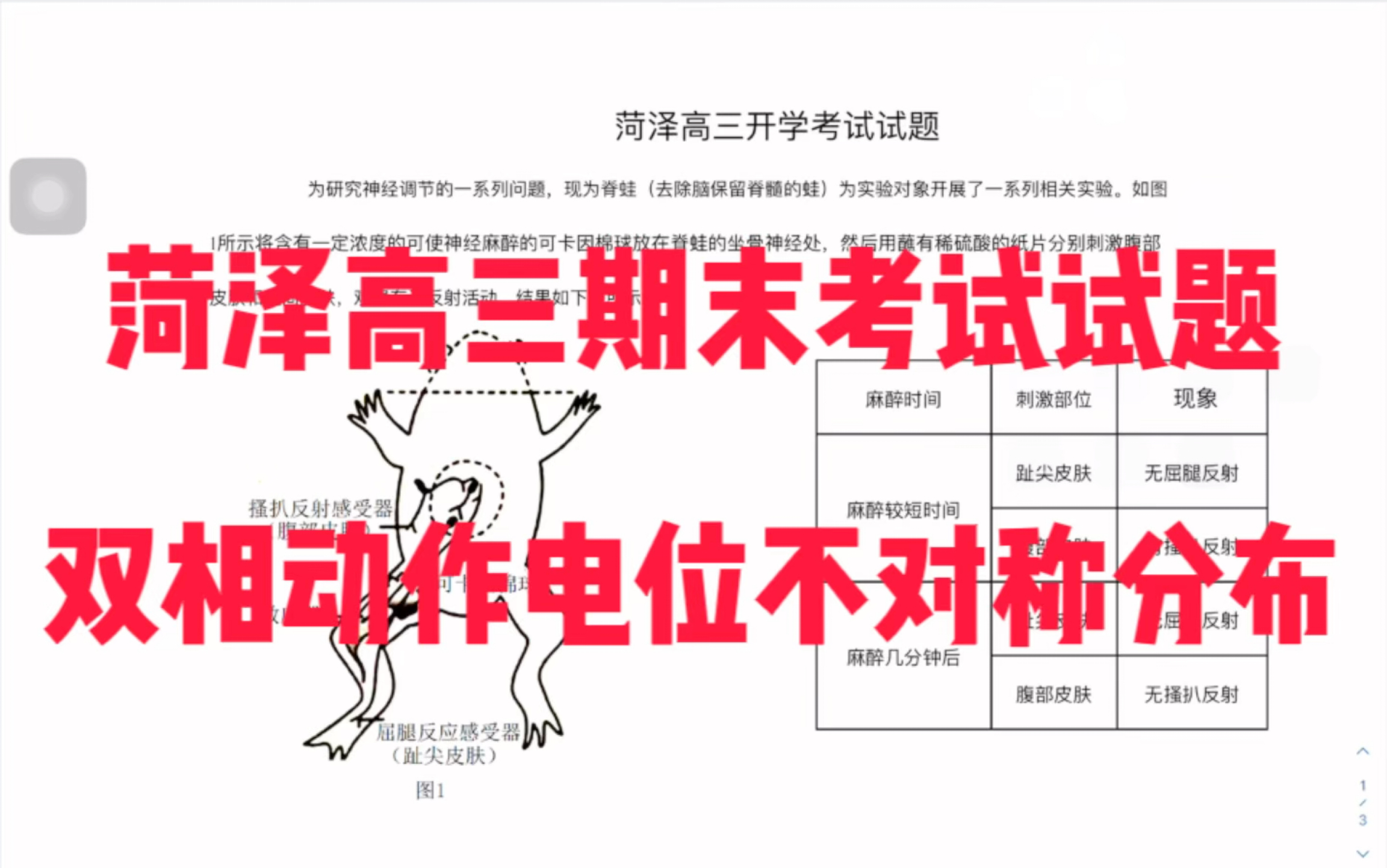 2023年高三菏泽高三开学实验题,双相动作电位不对称性分布到底是啥样子呀?啥叫不对称性分布,动作电位和静息电位怎么产生的?快来跟我一起复习吧...