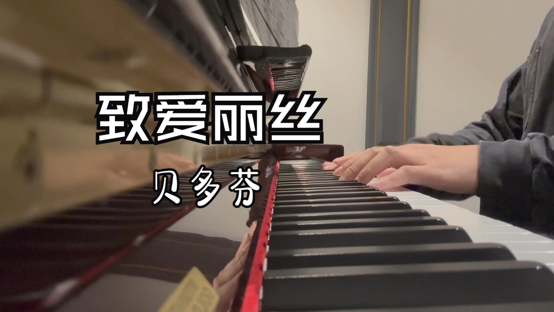 【钢琴】致爱丽丝
