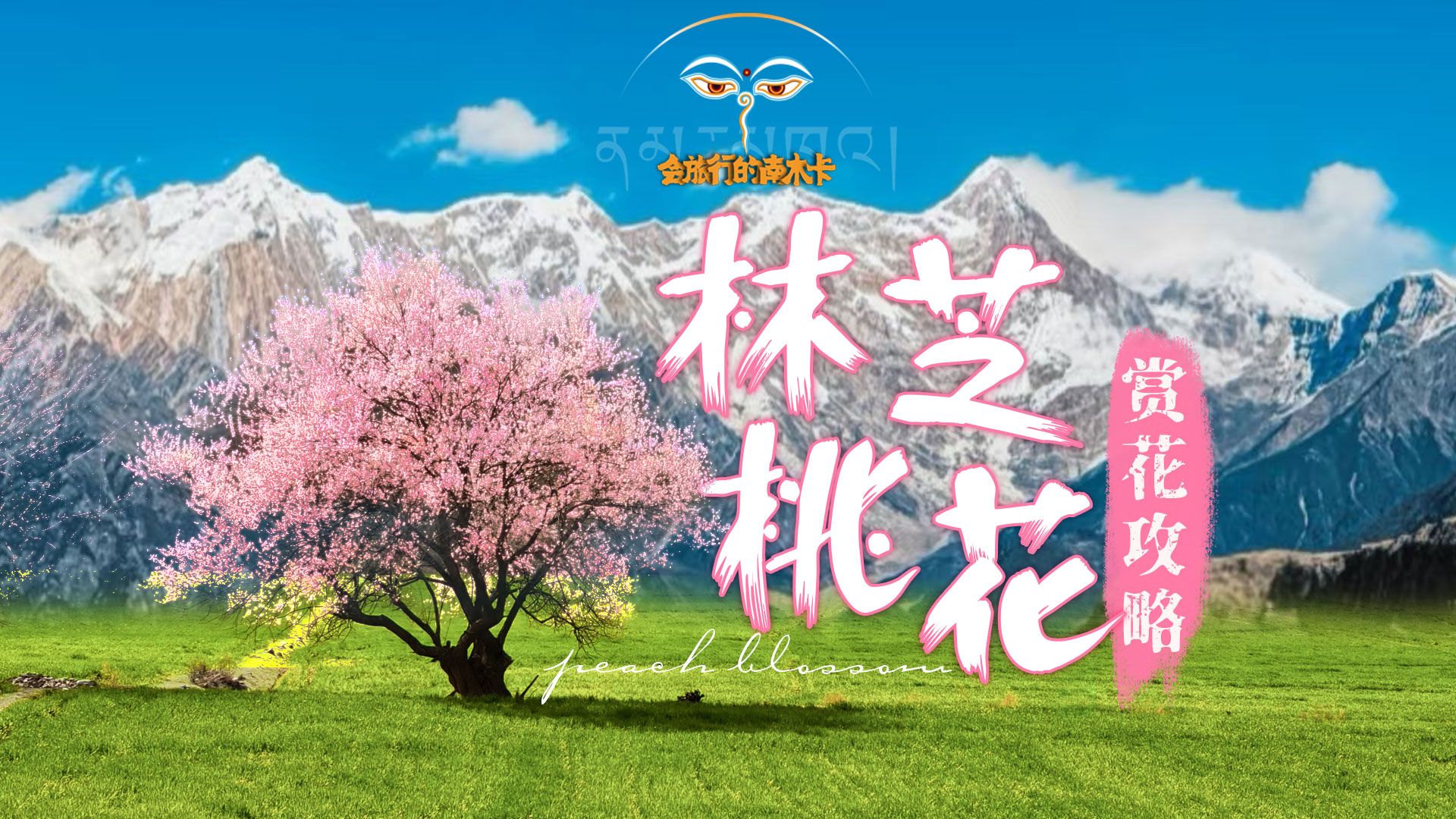 3月林芝最美桃花季！完整版攻略来了~在南迦巴瓦峰下、雅鲁藏江畔与粉色桃花撞个满怀