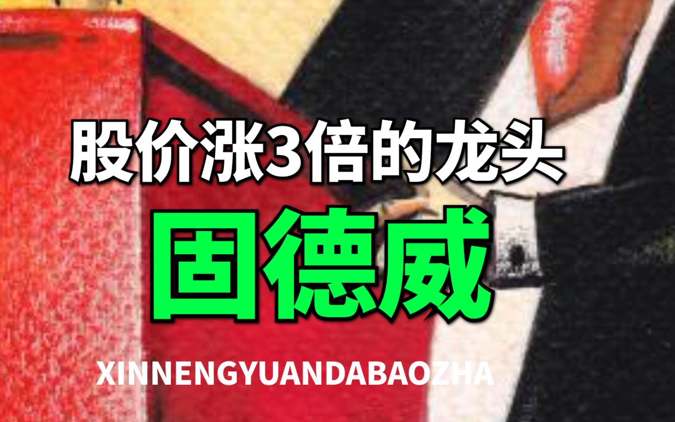 【大爆炸】股价狂飙3倍,固德威,境外户用逆变器龙头,下一个阳光电源?哔哩哔哩bilibili