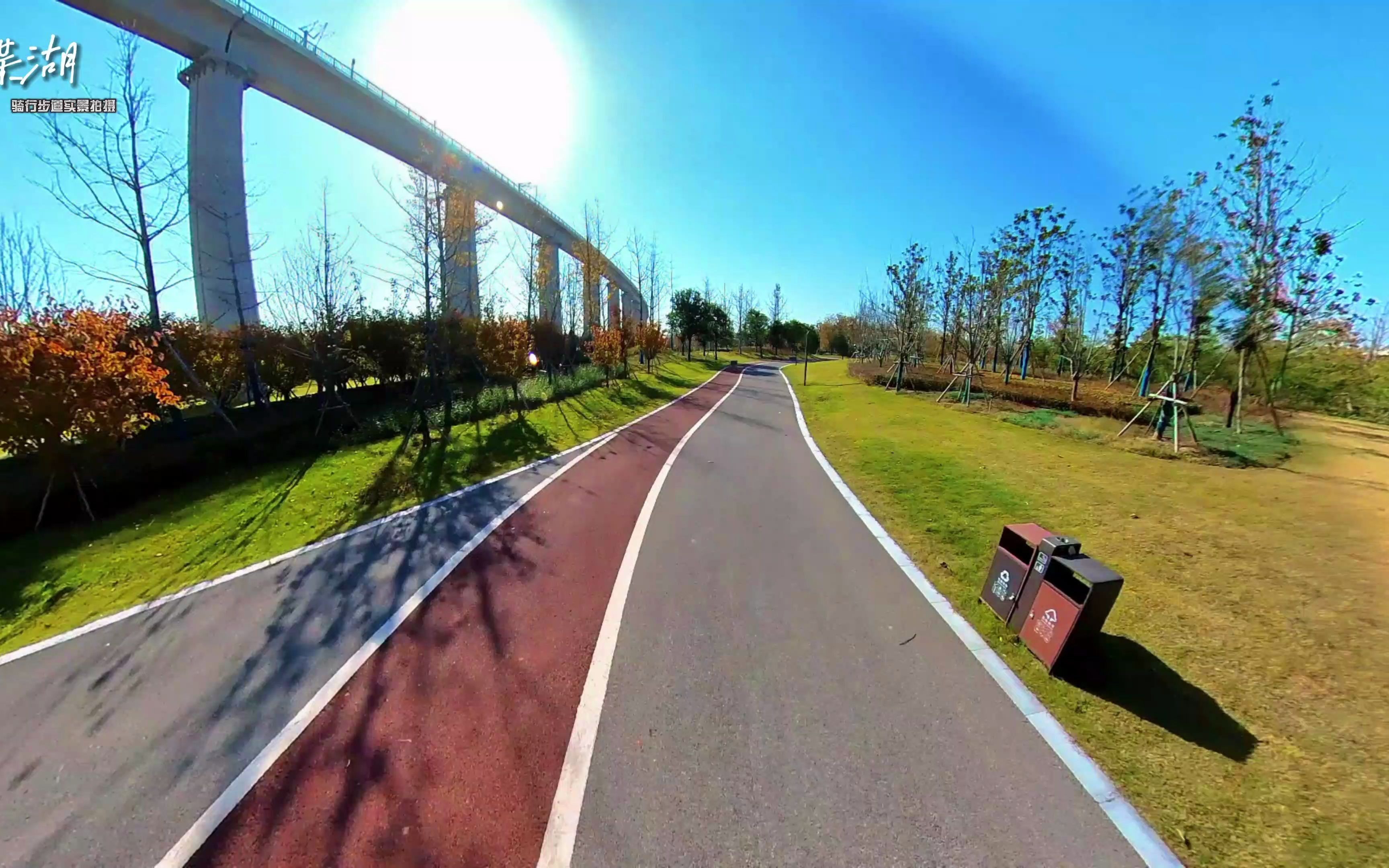 【蝶湖骑行步道】 实景拍摄 #蝶湖#骑行#公路车