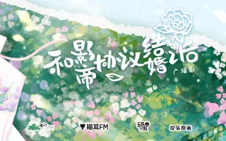 结婚发布会 哔哩哔哩 Bilibili