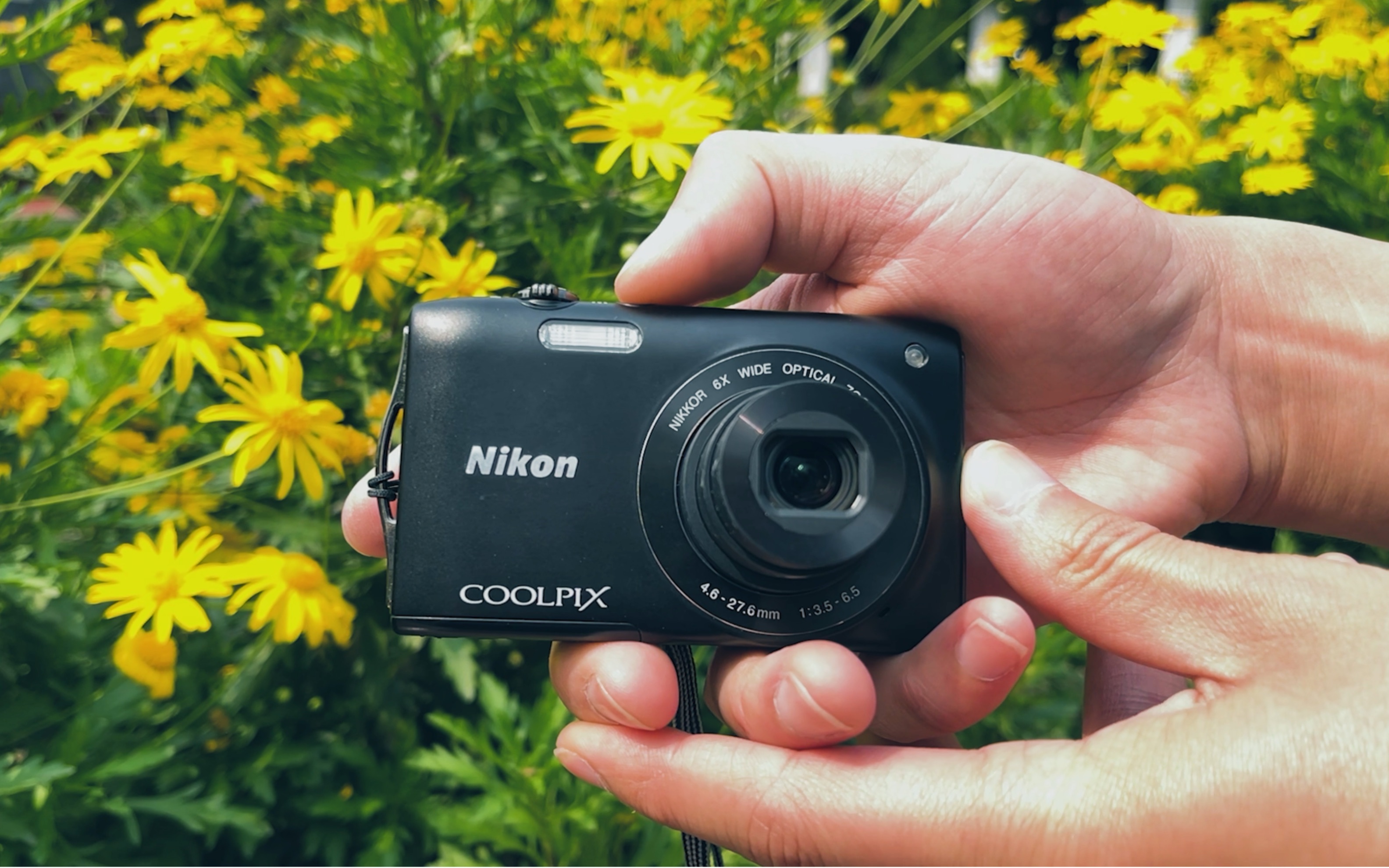 带着nikon coolpix s3300老古董卡片机逛公园/2023年春