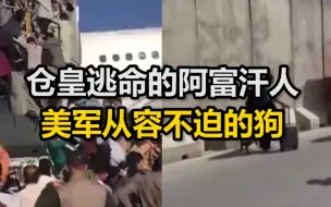 Tải video: 一边是仓皇逃命的阿富汗人 另一边却是美军从容不迫的狗