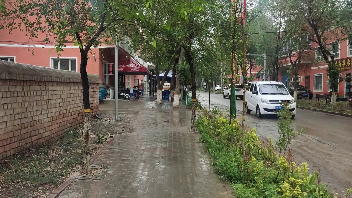 [图]雨中漫步新疆大草滩，树木成荫