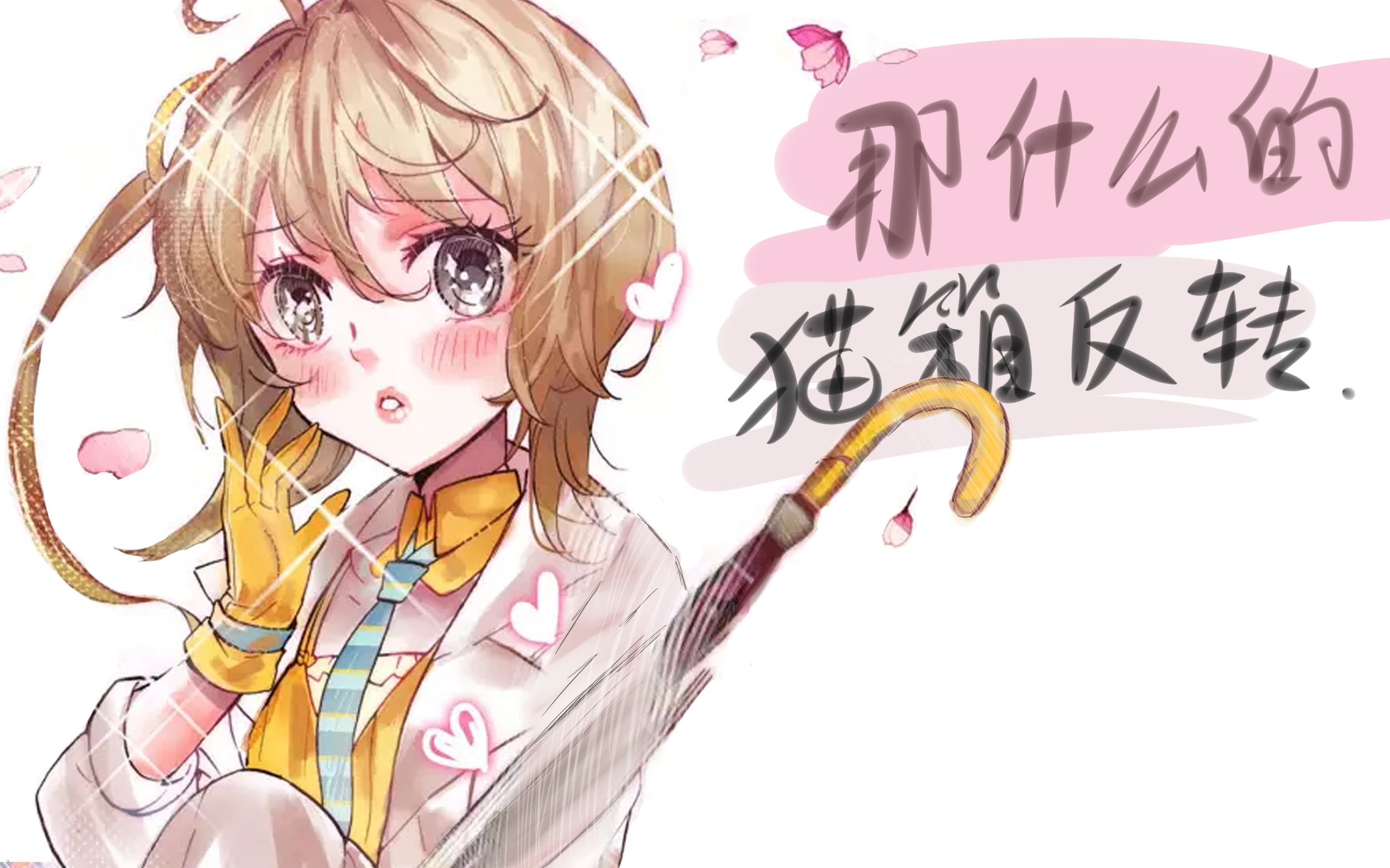 那什么的猫箱反转